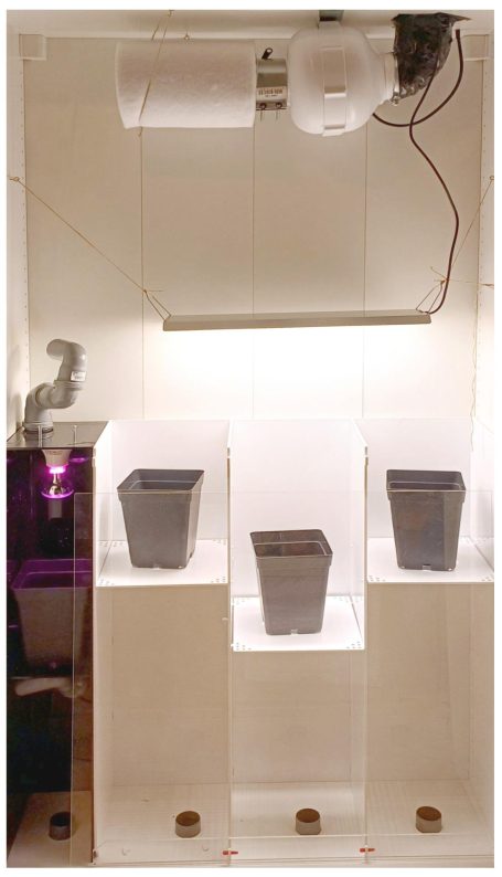 Das immer-legal Growsystem